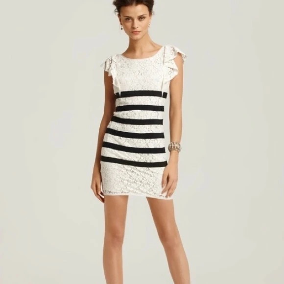 BCBG Renata Lace Dress - Picture 1 of 4